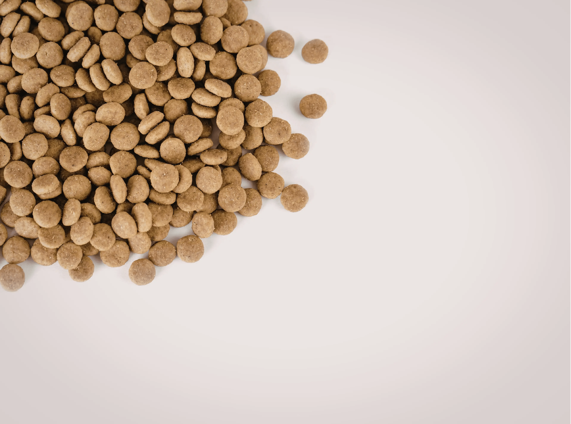 Copia di Selezione Bento Grid petfood 2